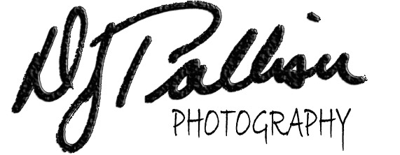 DJ Palliser Photography logo